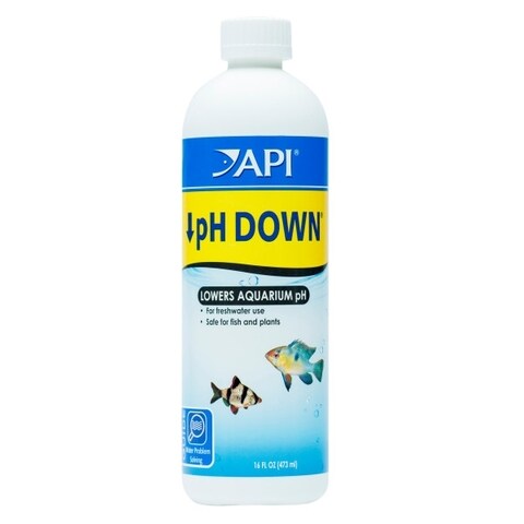 Buy API pH Down, 16 OZ in UAE