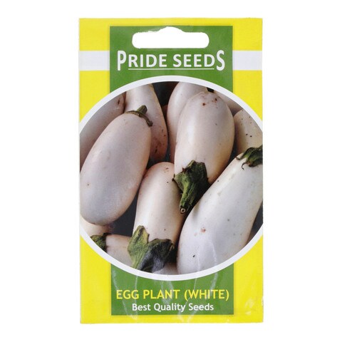 Pride Seeds Egg Plant White