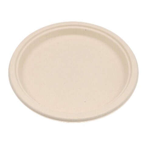 Buy EcoShine   100% Natural, Biodegradable, Compostable, Ecofriendly, Safe  Hygienic Disposable Bagasse Plate 9-INCH Round (Pack of 250 plates) in UAE