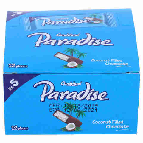 Candyland Paradise Coconut Filled Chocolate 12 Pieces