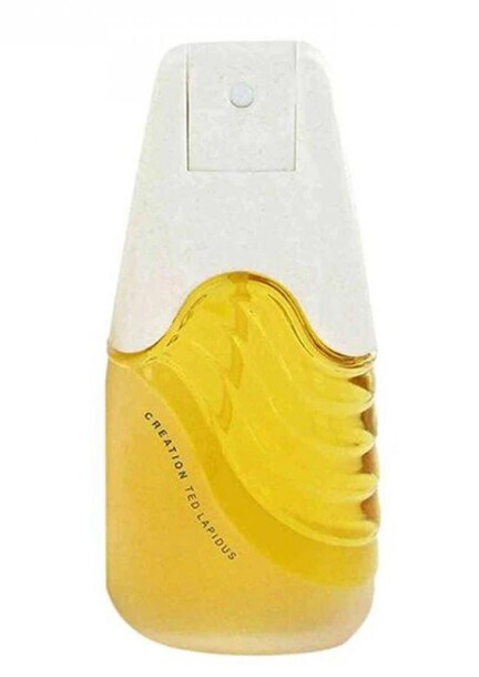 Buy Ted Lapidus Creation Eau De Toilette 100ml Online - Shop