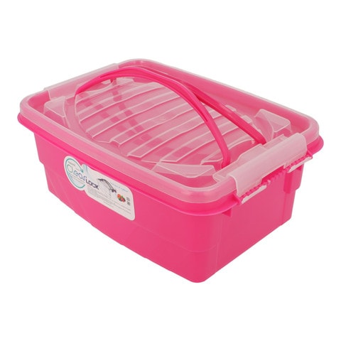 Locking discount storage tote