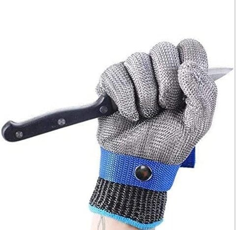 Buy Safety Cut Proof Stab Resistant Glove, Stainless Steel Metal Mesh Butcher  Glove for Kitchen, Garden, Fishing (Large) Online - Shop Home & Garden on  Carrefour UAE