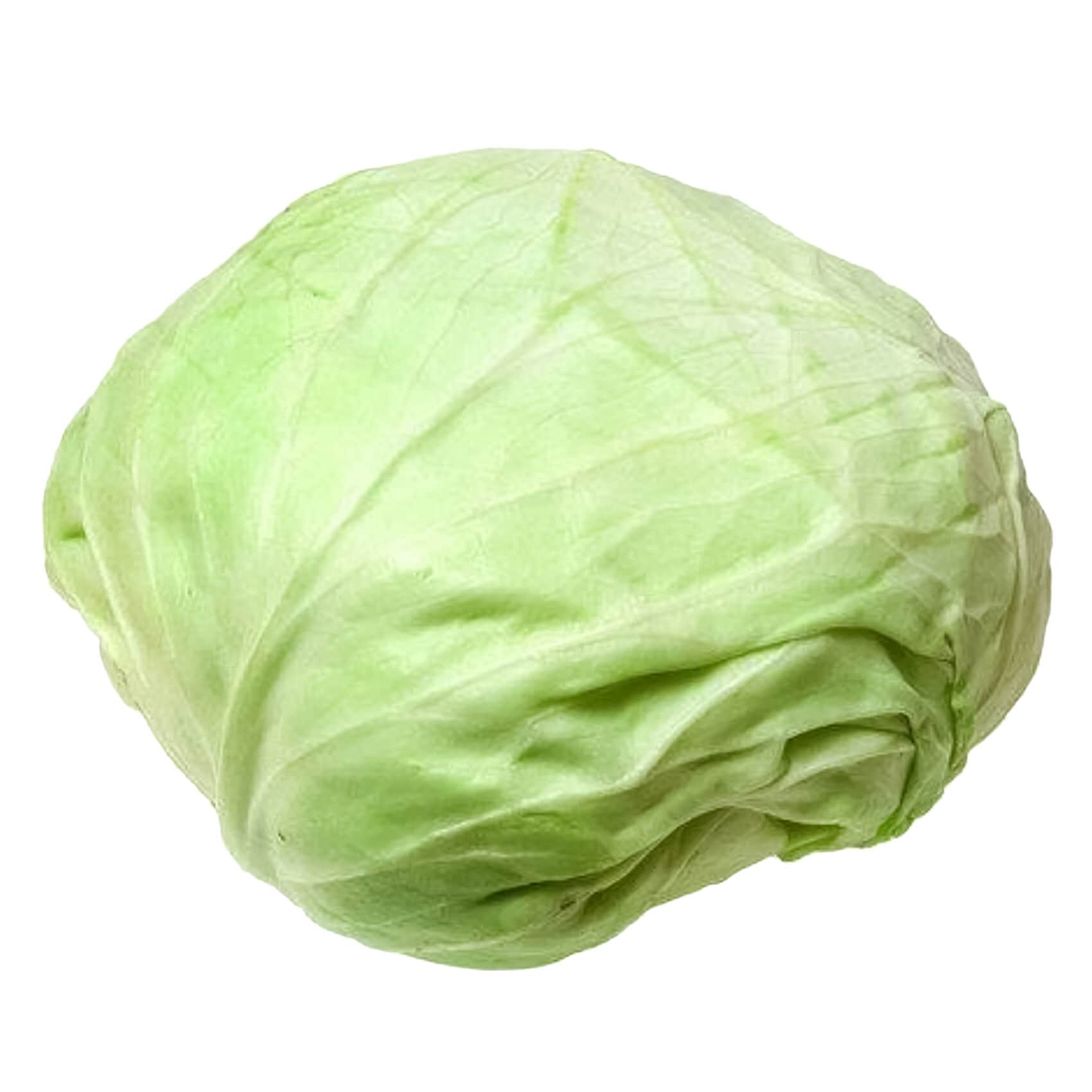 Buy White Flat Cabbage Online Shop Fresh Food on Carrefour UAE