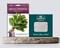 Peppermint Seeds   Model COD.BGAMEP001 Brand HORTUS   Origin Italy + Agricultural Perlite Box (5 LTR.) by GARDENZ