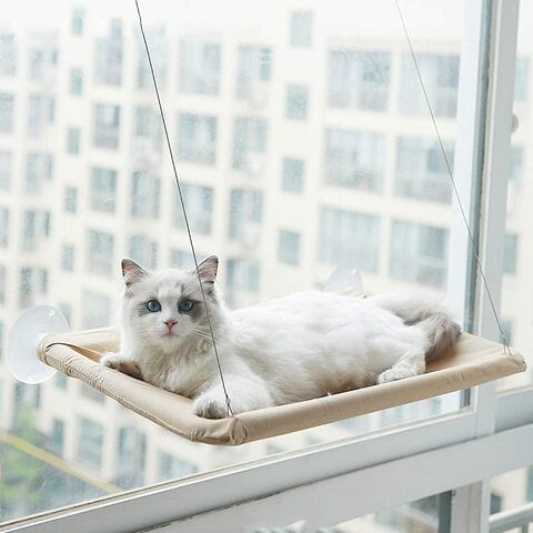 Cat on sale perch bed