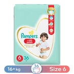 Buy Pampers Premium Care Baby Pants 6 Extra Large, 16+ kg - 36 Diapers in Egypt