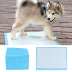 اشتري Decdeal - Dog Pet Training Pee Pads Super Absorbent Disposable Healthy Puppy Pads for Dog Cats 20PCS في الامارات