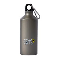 Biggdesign Cats Aluminum Water Bottle, Insulated Thermos Water Bottle With Lid and Carabiner Clip, BPA Free and Leak Proof, Cats Design, 20 oz (600 Ml)