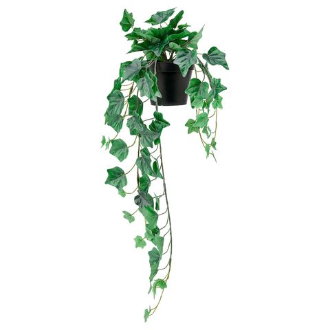 Fejka - Artificial Potted Plant, In/Outdoor, Hanging Ivy, 12 Cm