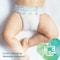 Pampers Pure Protection Dermatologically Tested Diapers Size 3 (6-10kg) 31 Diapers