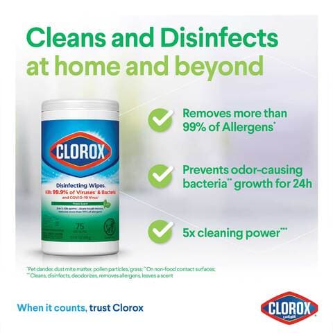 Clorox Disinfecting Wipes Fresh Scent 75 Wet Wipes