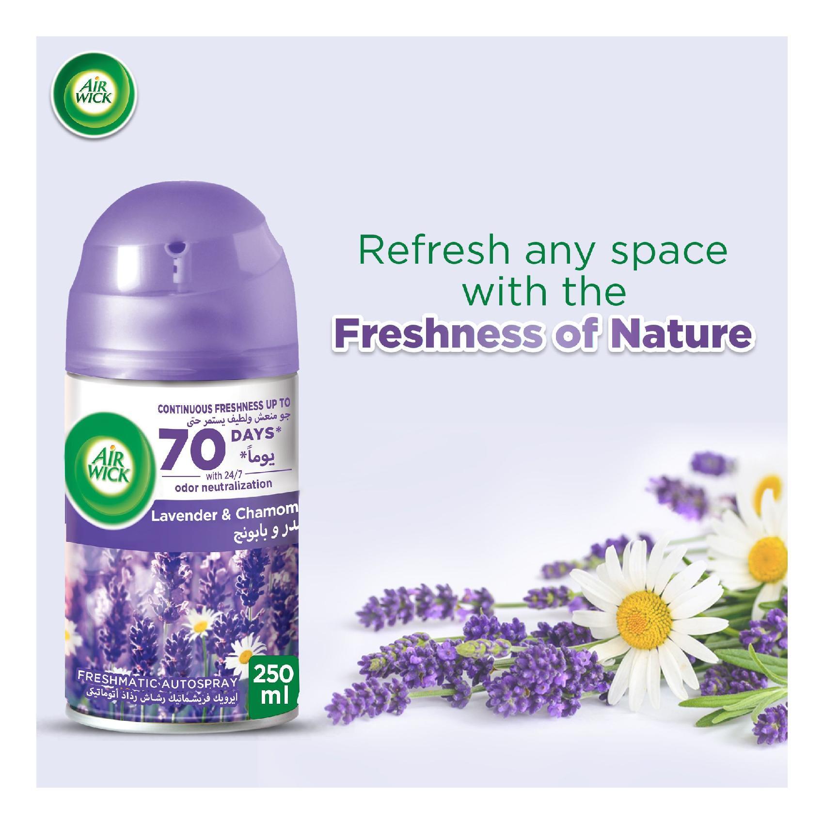Buy Air Wick Freshmatic Max Lavendar Automatic Spray With Refill Purple  250ml Online - Shop Cleaning & Household on Carrefour UAE
