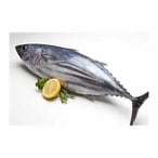 اشتري سمك التونة في مصر