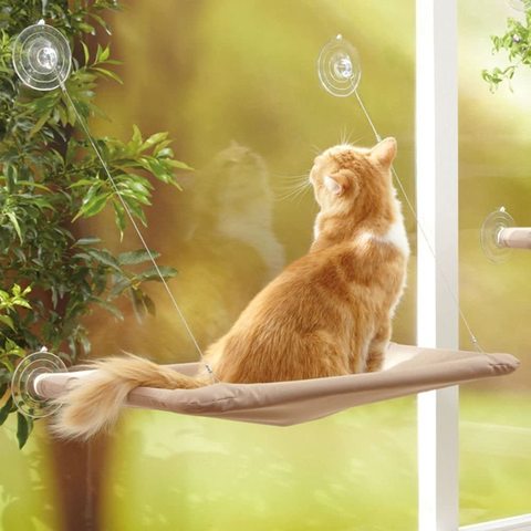 Doreen Window Mounted Cat Bed Cat Hammock Pet Save Space