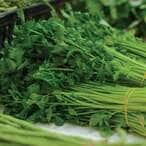 Buy Fresh Local Herbs in Saudi Arabia