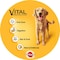 Pedigree Vital Protection Chicken And Vegetables Dry Adult Dog Food 3kg