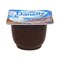 Danone Danette Chocolate Cream 100g