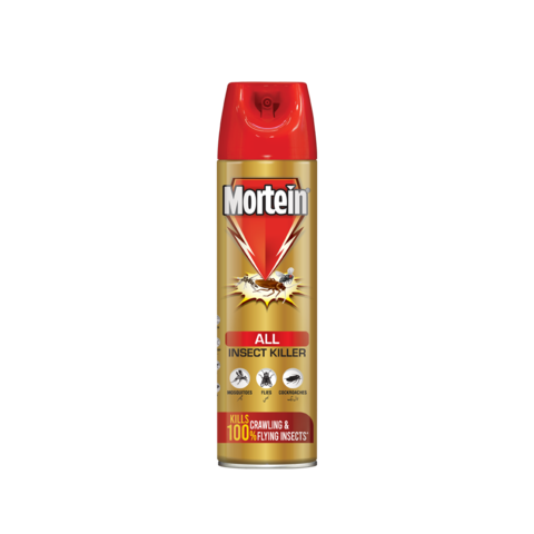 Mortein All Insect Killer 375 ml