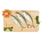 Buy Fresh Mackerel Fish Small in UAE