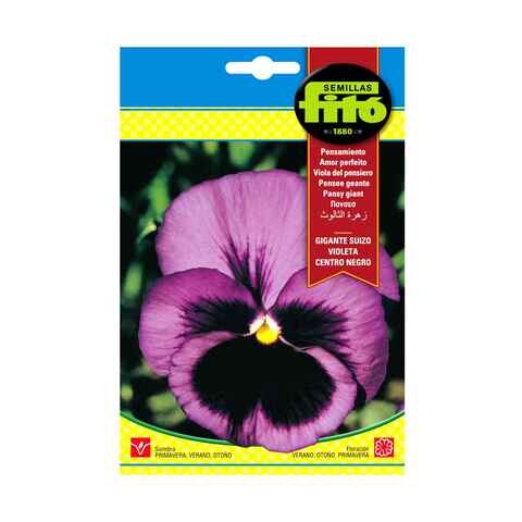 Fito Seeds Pansy Giant Purple