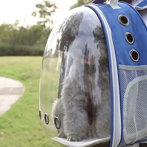 Outdoor cat outlet backpack