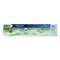 Signal Center Fresh Toothpaste Green 120ml