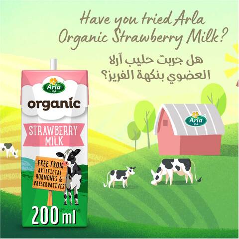 Arla Organic Chocolate Milk Long Life 200 Ml