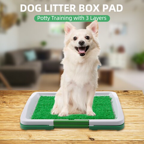 Outdoor dog hotsell toilet tray