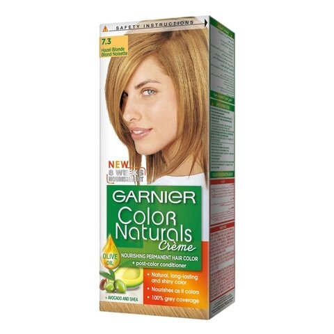 Garnier Color S Dark Hazel Blonde Hair Color 7.3 1Pc