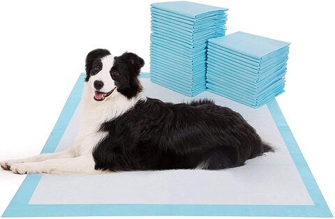 Pet hotsell potty pads