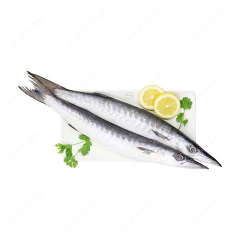 Buy Fresh Barracuda in UAE