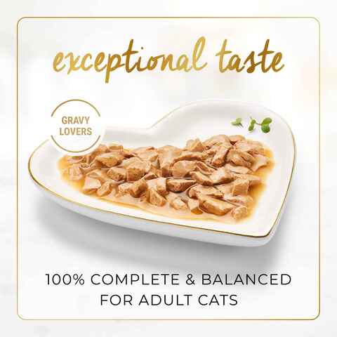 Fancy feast gravy hot sale lovers cat food