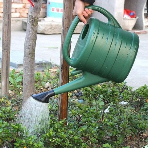 Watering Can 10 Liter, Large Capacity Watering Can, Detachable Nozzle Equipment, For Indoor, Outdoor, Garden Watering, Green