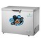 GRATUS CHEST FREEZER GCFR350W 308L