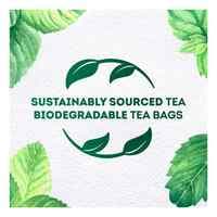 Lipton Herbal Infusion Mint 20 Tea Bags