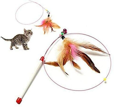 Buy GOLDEN ROSE Feather Teaser Exerciser Interactive Cat Toy Animals Wand in UAE