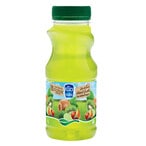 Buy Nadec Kiwi And Lime With Mint Juice 200ml in Kuwait