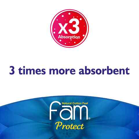 Fam Protect Incontinence Maximum Sanitary Pads White 12 countx9