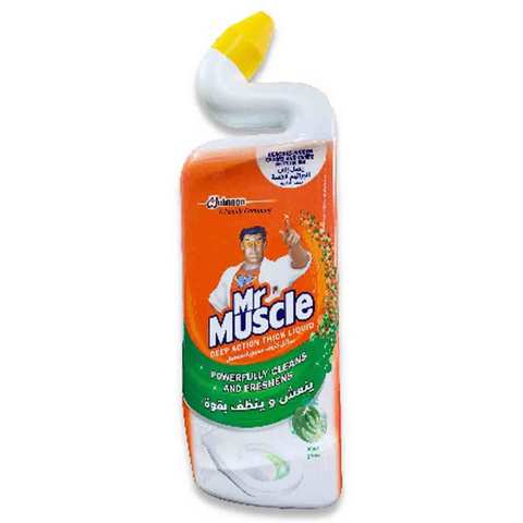 Mr. Muscle Duck Toilet Cleaner Mint 750 Ml