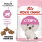Royal Canin Fhn Feline Health Nutrition Kitten 4Kg Cat Dry Food