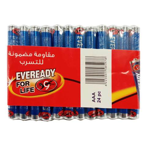 Eveready Battery AAA x24