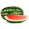 Dark Green Watermelon Long