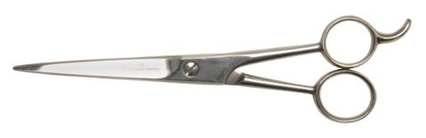 Buy Diane D7475N Ice Stainless Steel Scissors, 7.5 Inch in UAE
