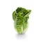 Baby Sucrine Lettuce (Carrefour Quality Line)