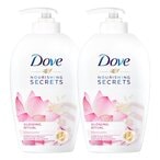 Buy Dove Nourishing Secrets Glowing Ritual Hand Wash 250ml Pack of 2 in UAE