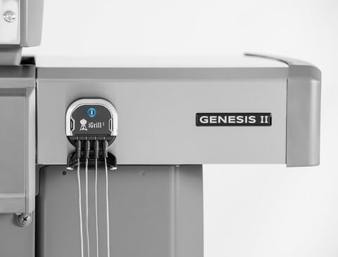 Weber genesis gas deals grill