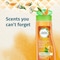 Herbal Essences Body Envy Lightweight Conditioner with Citrus Essences 360ml