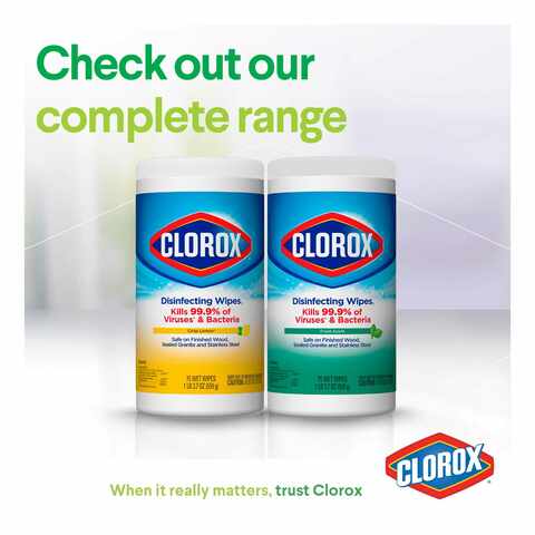 Clorox Disinfecting Wipes Fresh Scent 75 Wet Wipes