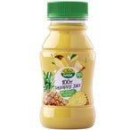 Buy Nada Pineapple Juice 200ml in Kuwait